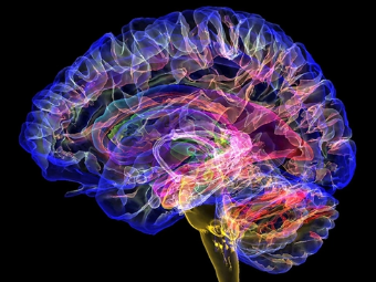亚洲色图20p大脑植入物有助于严重头部损伤恢复